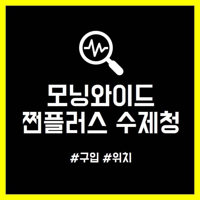 모닝와이드 쩐플러스 수제청